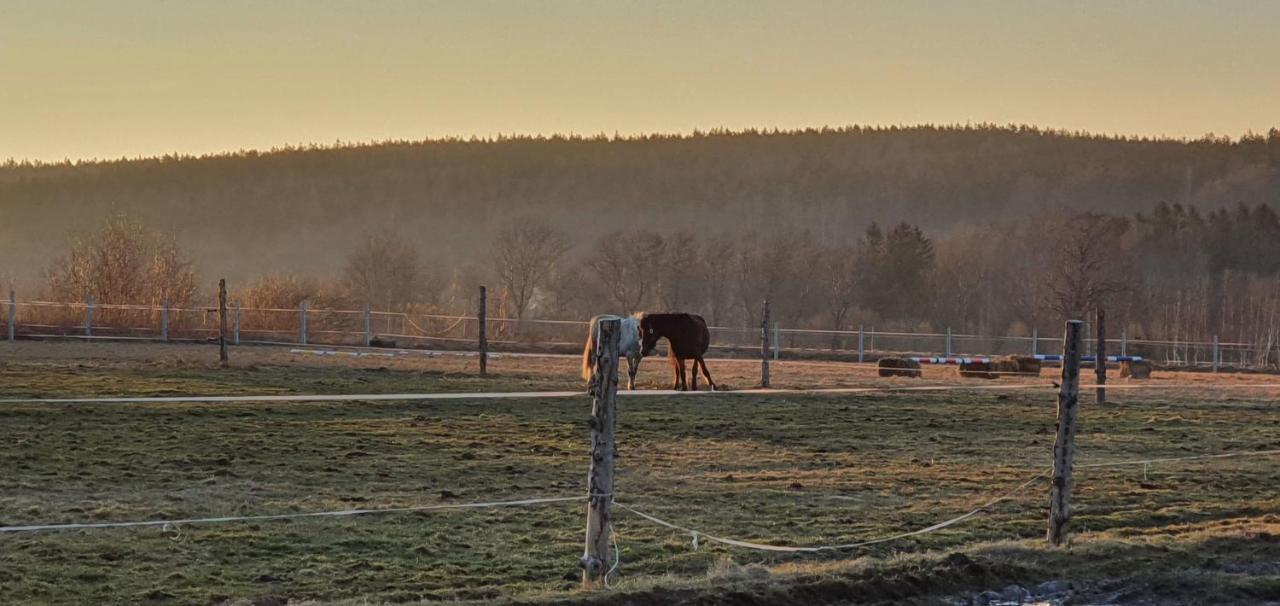 Apartizer Swieradow Zdroj Pobiedna Bagian luar foto
