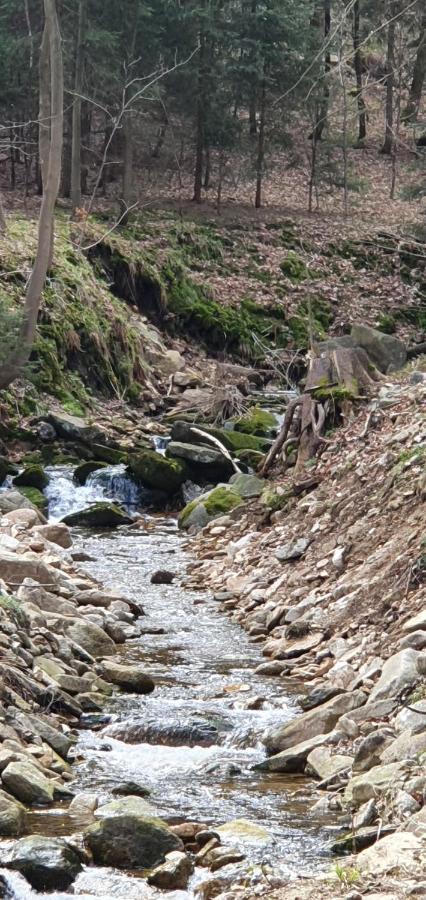 Apartizer Swieradow Zdroj Pobiedna Bagian luar foto