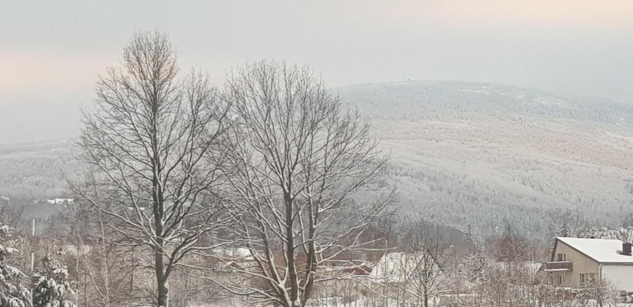 Apartizer Swieradow Zdroj Pobiedna Bagian luar foto