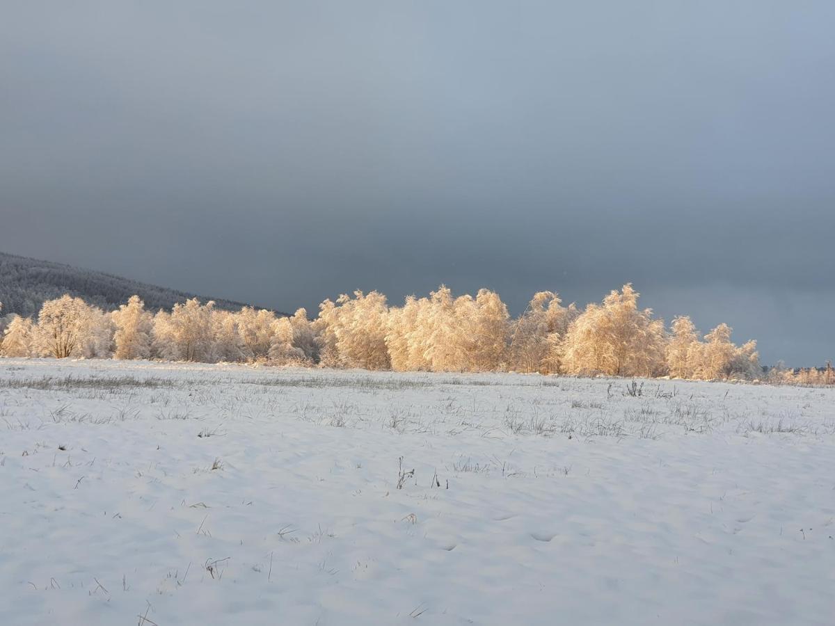 Apartizer Swieradow Zdroj Pobiedna Bagian luar foto