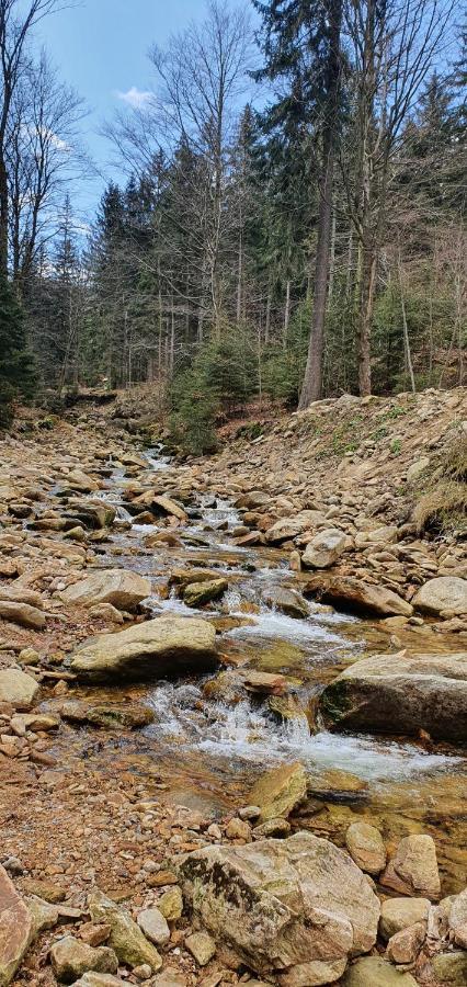 Apartizer Swieradow Zdroj Pobiedna Bagian luar foto