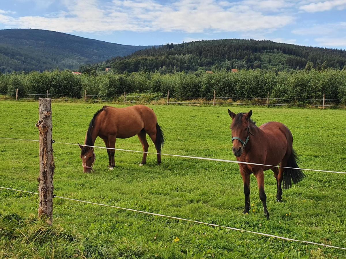 Apartizer Swieradow Zdroj Pobiedna Bagian luar foto